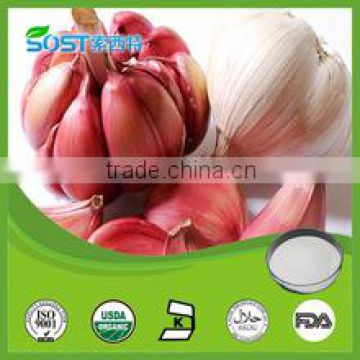 100% Pure Dried Style and Garlic Type Natural Garlic