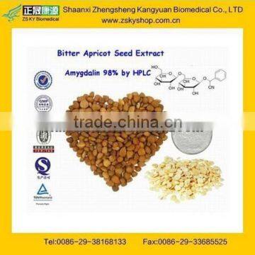 GMP Certified Factory Supply Natural Amygdalin Powder