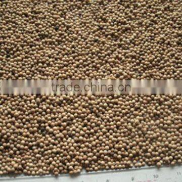 No Washed Wholesale White Pepper 600g/l