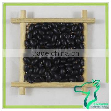 Dry Green Kernel Black Beans China Origin
