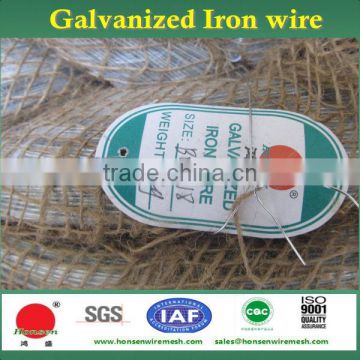 Original Factory Electro Galvanized Iron wire