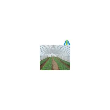 High Tunnel Film Greenhouse for Sale