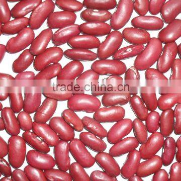 organic red kidney bean