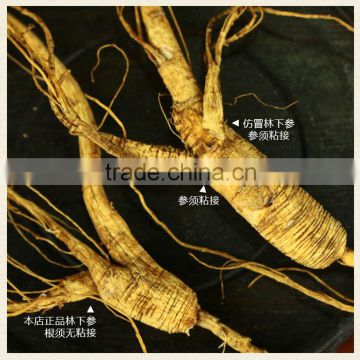 Old wild ginseng,18years old,move from wild high mountain