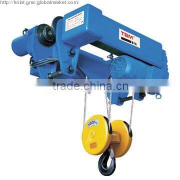 Low-Headroom Electric Wire Rope Hoist(2/1Rope Reeving)WHL032