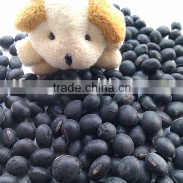 Black Soybean with Yellow Inside(Heilongjiang origin, 2013 crop ,hps)