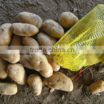 Chinese Fresh Potato in 2012