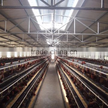 120 chicken layers battery cage for sale in Africa