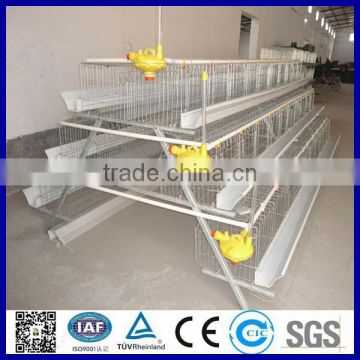 Full automatic layer chicken cage