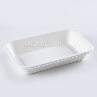 New Hot Disposable Biodegradable  32OZ TRAY Bagasse Food Box Take away Sugarcane container