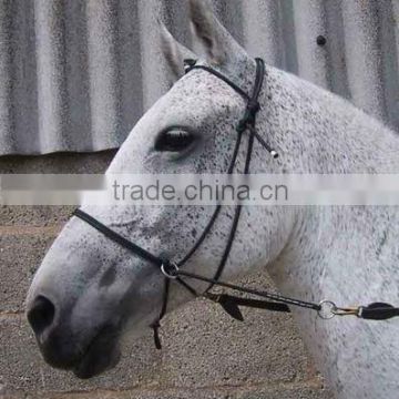 Rope for horse Halters, & Training leads