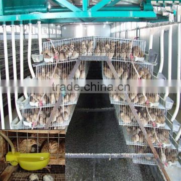 A type manufacture cheap advanced quail cages for 20000 quails