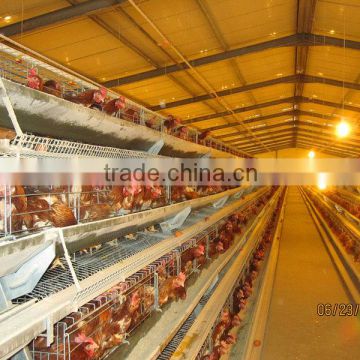 chicken farming equipment