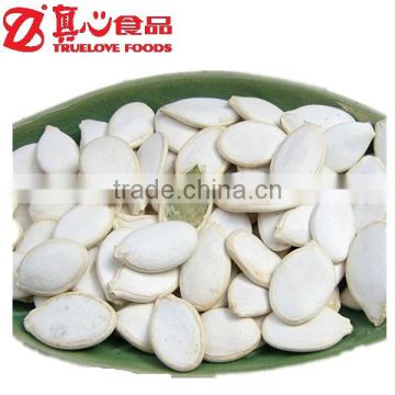 Shelled Pumpkin Seeds of Snow White Type