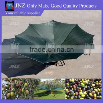 Olive Collection umbrella for sale