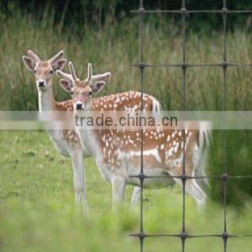 100%pp strong plastic fencing net for deer&chicken manufacture