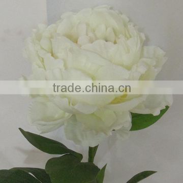 Cheap Wholesale artificial single long stem Peony flower                        
                                                                                Supplier's Choice