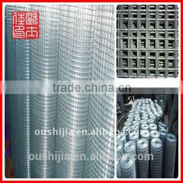 durable Galvanized Iron Wire Netting Mesh/mesh door net