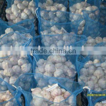 Fresh white garlic price