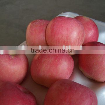 new chinese apple
