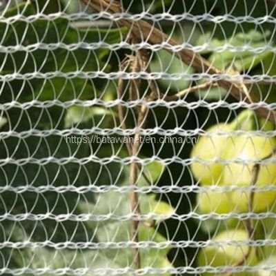 Batawa HDPE Agricultural Anti Hail Netting Orchard Tree Hail Protection Net with UV Resistance