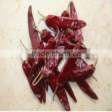 2012 Best selling of dry jinta chili