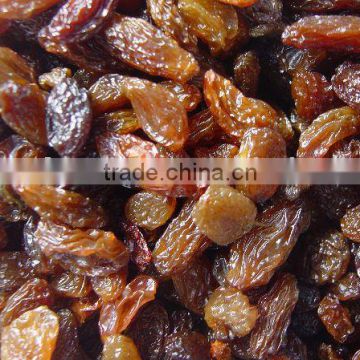 red raisins brown raisins red grape sultana raisins seedless raisins dried fruit snack fruit