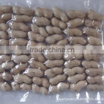 Peanut in Shell for Hot Sell
