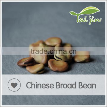 Organic Broad Bean Certified