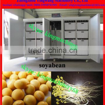bean sprouts cultivation room
