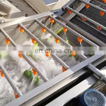 Small Size Restaurant Use Vegetable Washing Machine with Ozone for Sterilizing