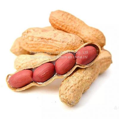 Luteolin 98% HPLC, peanut shell  Extract Luteolin, CAS No.: 491-70-3, Pure ingredients, Yongyuan Bio