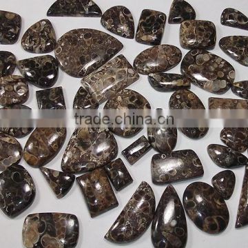 Natural turtella Jasper stone natural semi precious stones wholesale loose cabochon gemstones authentic gemstones