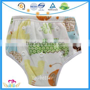 Baby Potty Training Pants Washable AIO Diaper Pants