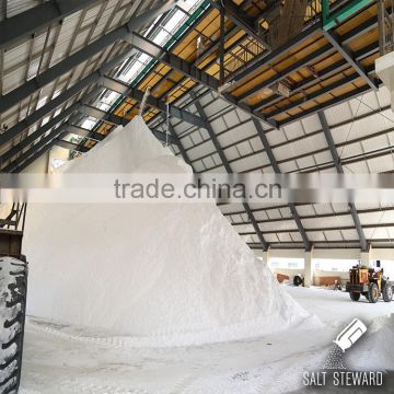 industrial salt price