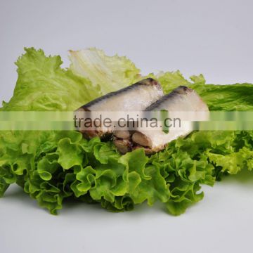 Chinese canned mackerel fish from Pacific