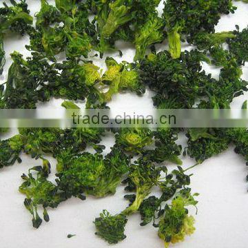 dried broccoli dice 2012