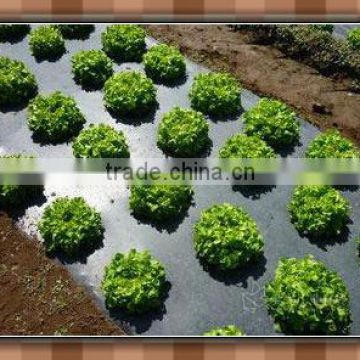PE Black Agricultural mulch Film