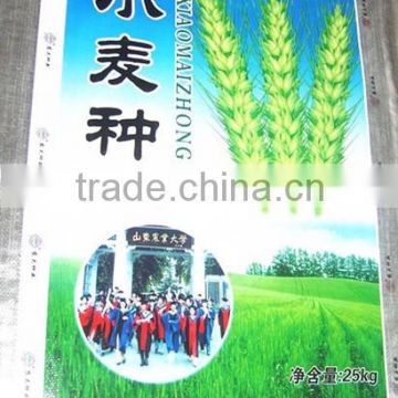 china 2014 Hot sell plastic design your own plastic bag