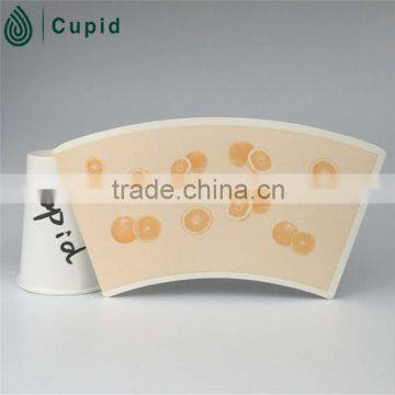 Food grade disposable paper cup