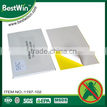 BSTW 3 years quality guarantee wholesale non-toxic UV lighted fly trap papers