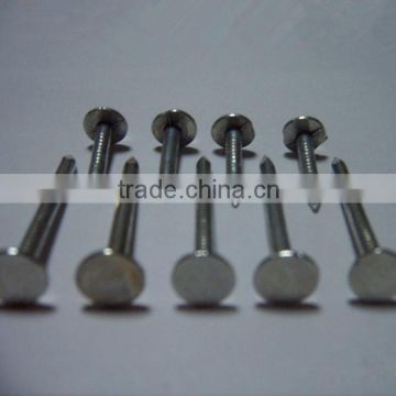 china common wire nail
