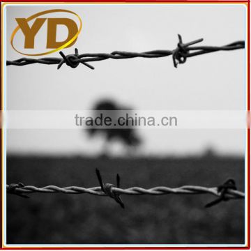 Cheap PVC coated galvanized barbed Wire