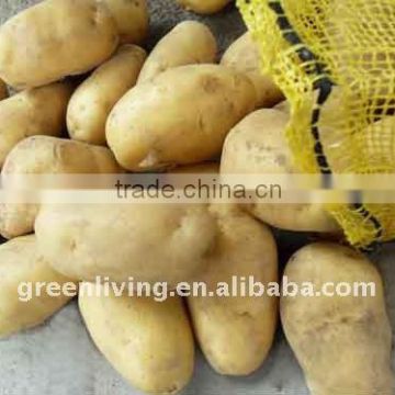 chinese potato in mesh bag
