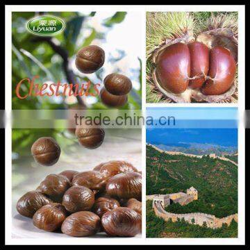 roasted chestnuts, nuts,halal