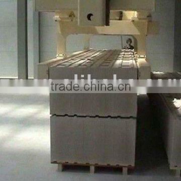 2011 China aerated autoclaved concrete plant