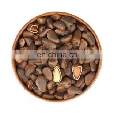 Chinese Byloo Quality Bulk Dried Fruit Pine Nuts the Shelled Pine Nut Pine Nut Kernels to Thailand