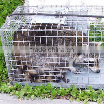 Fox Trapping Cage