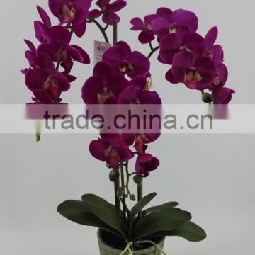 New Arrivals Butterfly Orchid Flower Artificial With Vase