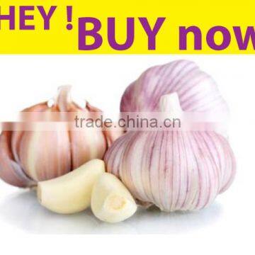 Fresh Garlic is a medicine